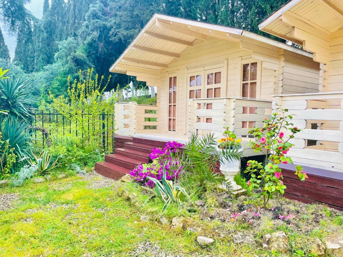 Vacation Home Apsar New Athos Екстериор снимка